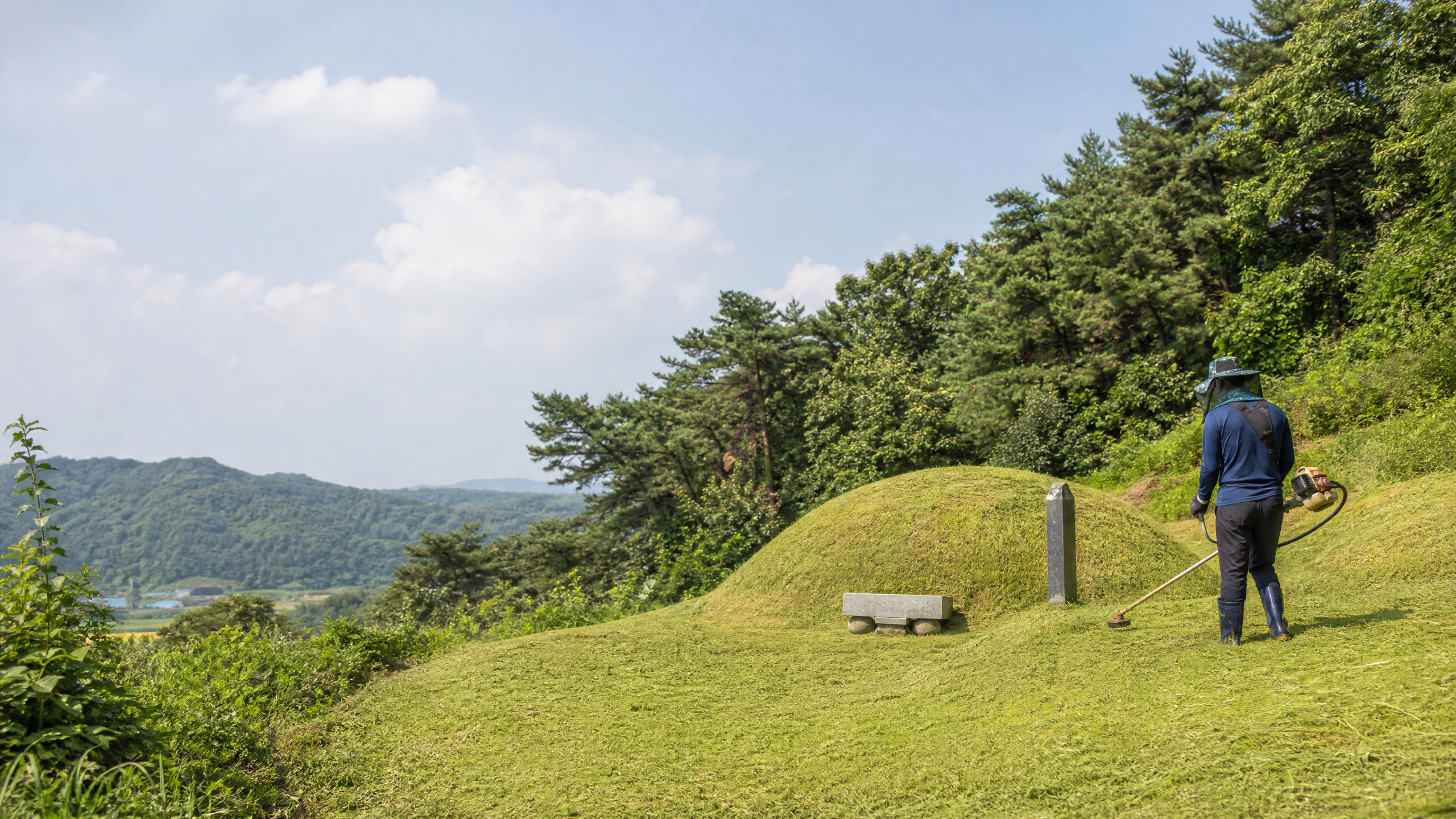 논산시 추석 전 벌초 현장 안내
